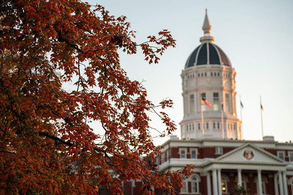 A campus beauty picture of Jesse Hall that includes leaves in the foreground.